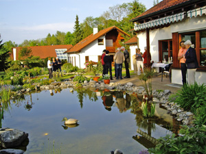 dans le jardin de nos jumeaux