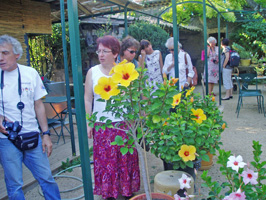 le groupe sous une treille fleurie